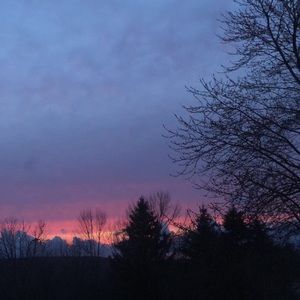 Meet your Posher, Kaylee